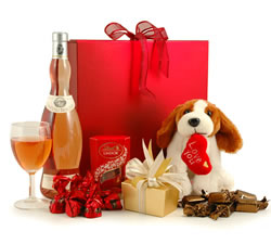 Rosé Wine & Cuddly Dog 