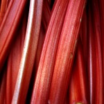 Lovely fresh rhubarb for quick and easy seasonal supper ideas for May