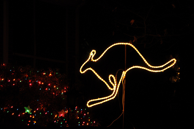 Kangaroo Christmas Lights by marsrevolt from Flickr