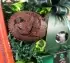 Chocolate Heaven Hamper
