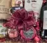 The Premium Red Wine, Cheese & Pâté Hamper
